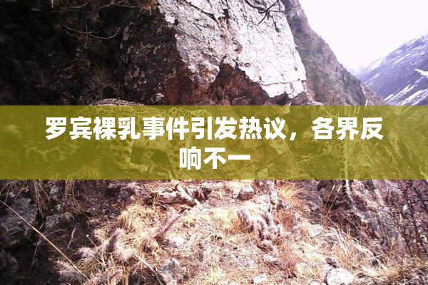 罗宾裸乳事件引发热议，各界反响不一
