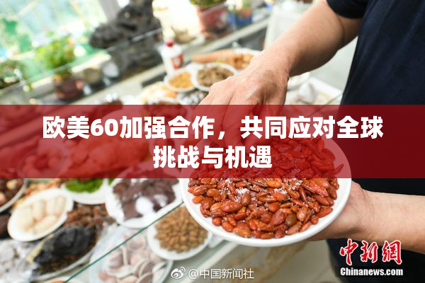 欧美60加强合作，共同应对全球挑战与机遇