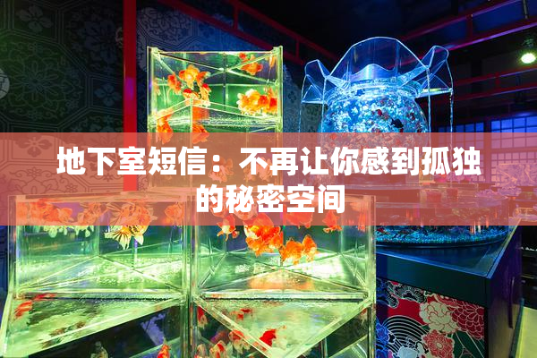 地下室短信：不再让你感到孤独的秘密空间