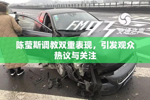 陈莹斯调教双重表现，引发观众热议与关注