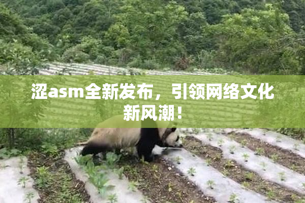 涩asm全新发布，引领网络文化新风潮！