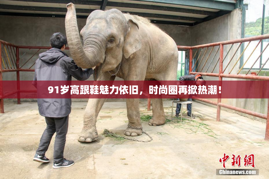 91岁高跟鞋魅力依旧，时尚圈再掀热潮！