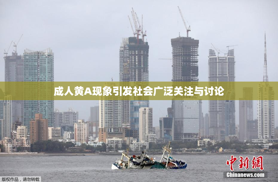 成人黄A现象引发社会广泛关注与讨论