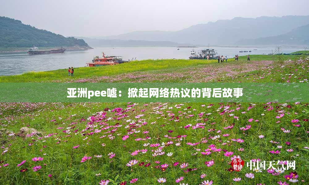 亚洲pee嘘：掀起网络热议的背后故事