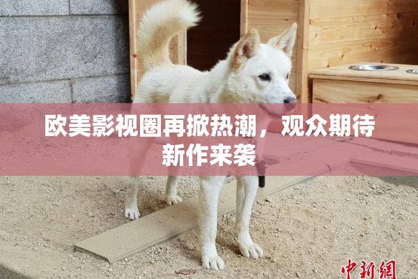 欧美影视圈再掀热潮，观众期待新作来袭
