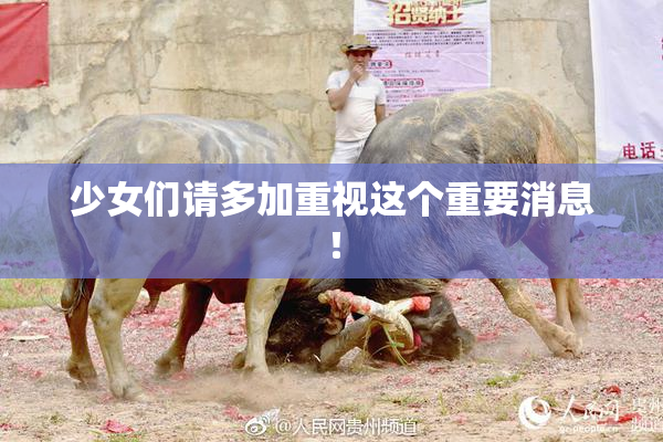 少女们请多加重视这个重要消息！
