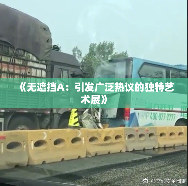 《无遮挡A：引发广泛热议的独特艺术展》
