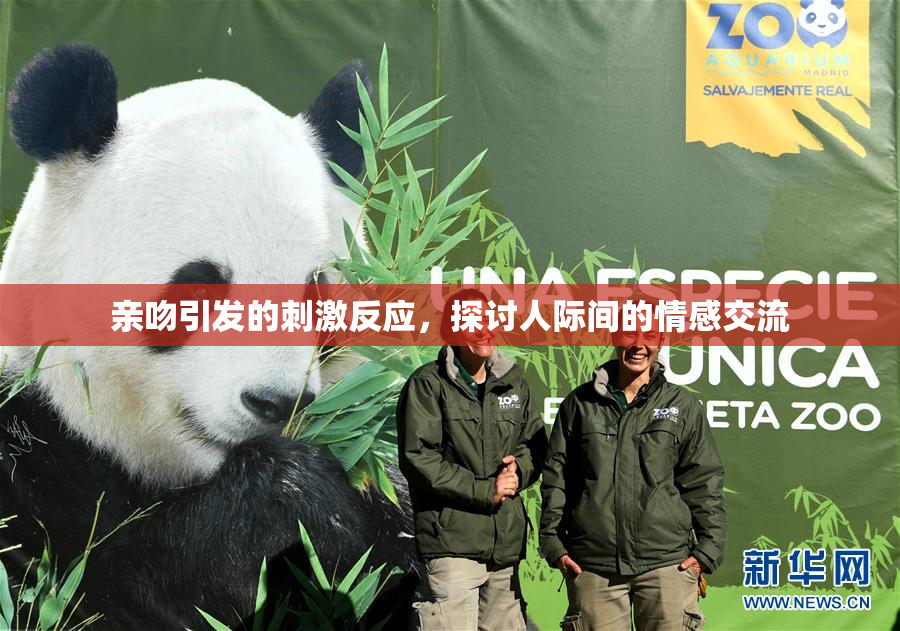 亲吻引发的刺激反应，探讨人际间的情感交流