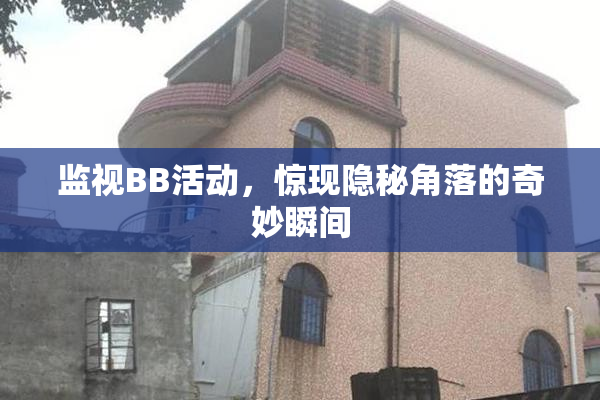 监视BB活动，惊现隐秘角落的奇妙瞬间