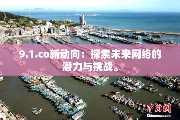 9.1.co新动向：探索未来网络的潜力与挑战。