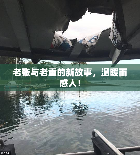 老张与老重的新故事，温暖而感人！