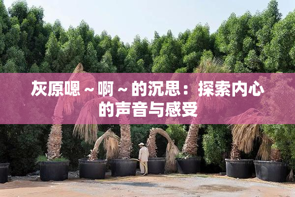 灰原嗯～啊～的沉思：探索内心的声音与感受