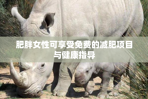 肥胖女性可享受免费的减肥项目与健康指导