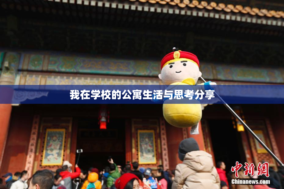 我在学校的公寓生活与思考分享