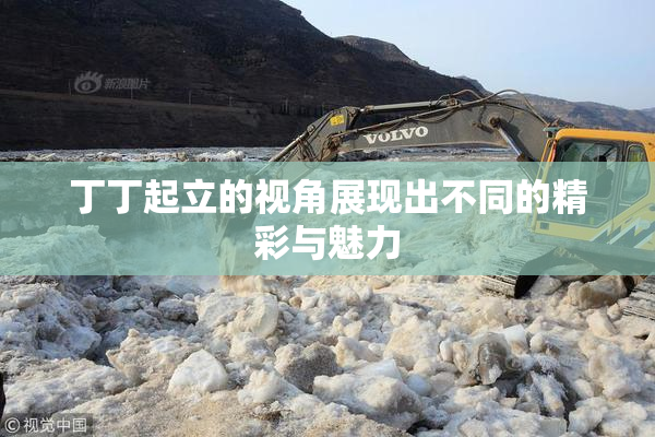 丁丁起立的视角展现出不同的精彩与魅力