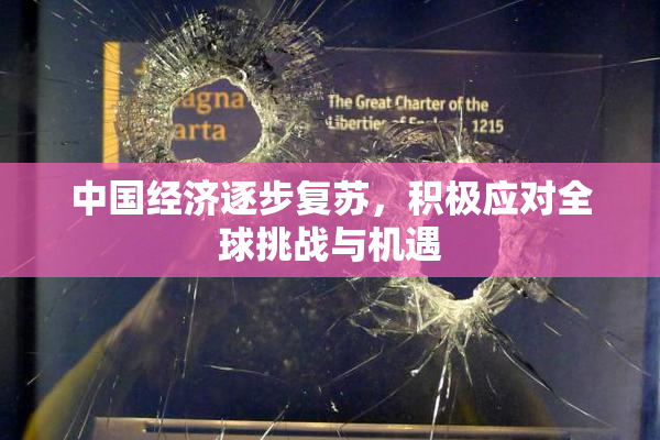 中国经济逐步复苏，积极应对全球挑战与机遇