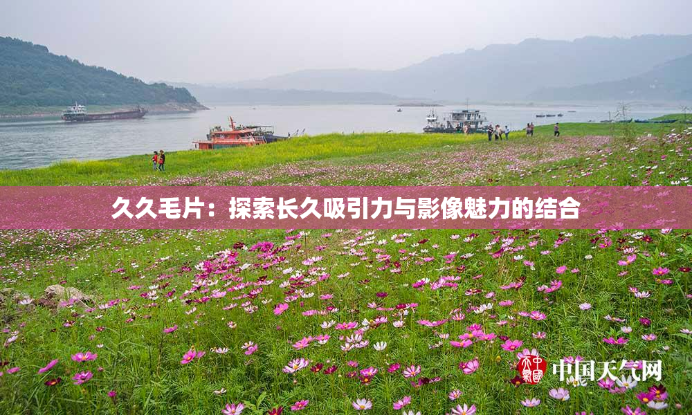 久久毛片：探索长久吸引力与影像魅力的结合