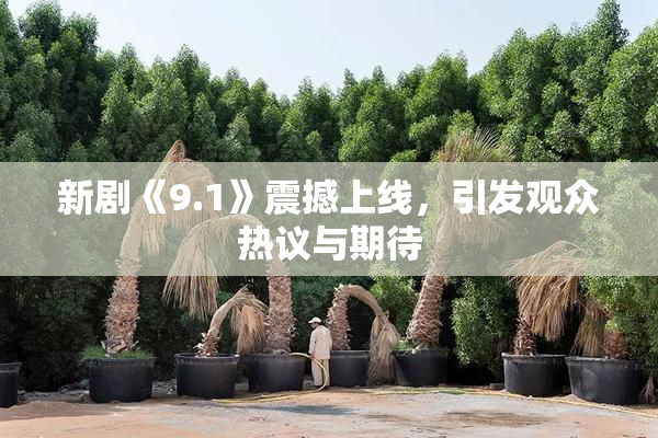 新剧《9.1》震撼上线，引发观众热议与期待