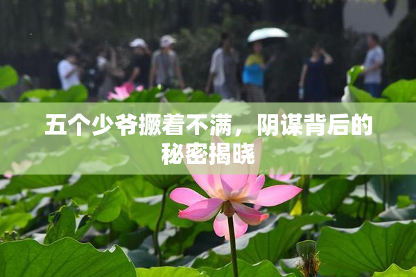 五个少爷撅着不满，阴谋背后的秘密揭晓