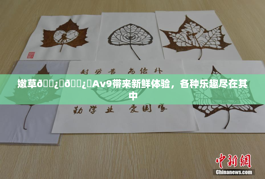 嫩草🌿‌🌿‌Av9带来新鲜体验，各种乐趣尽在其中