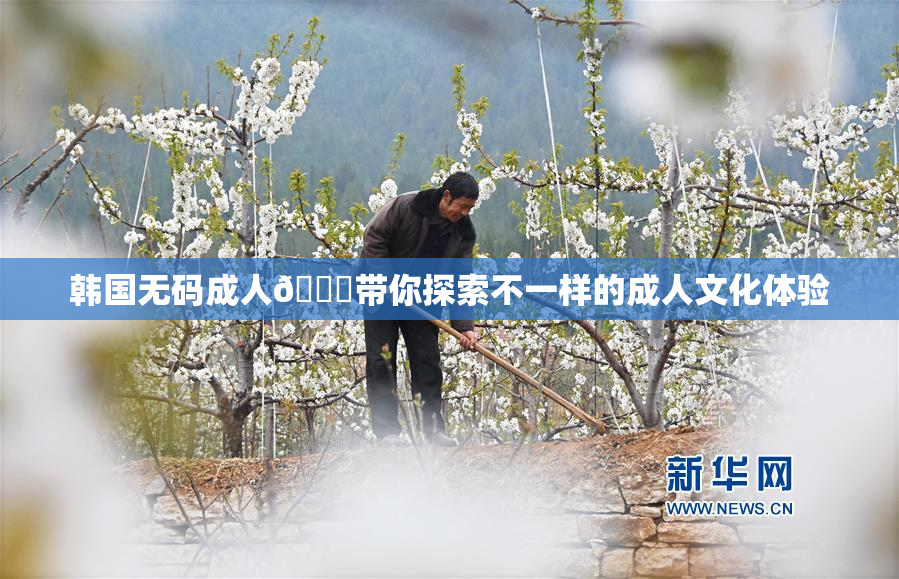 韩国无码成人🔞带你探索不一样的成人文化体验