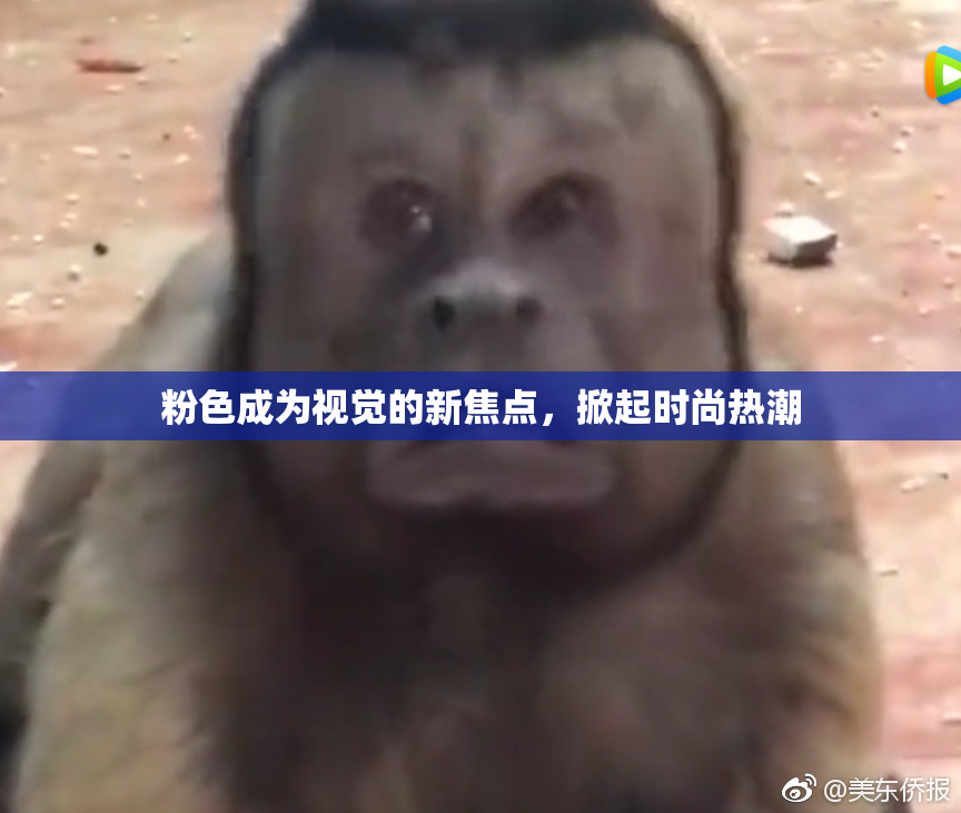 粉色成为视觉的新焦点，掀起时尚热潮