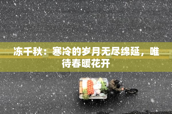 冻千秋：寒冷的岁月无尽绵延，唯待春暖花开