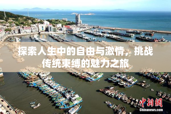 探索人生中的自由与激情，挑战传统束缚的魅力之旅