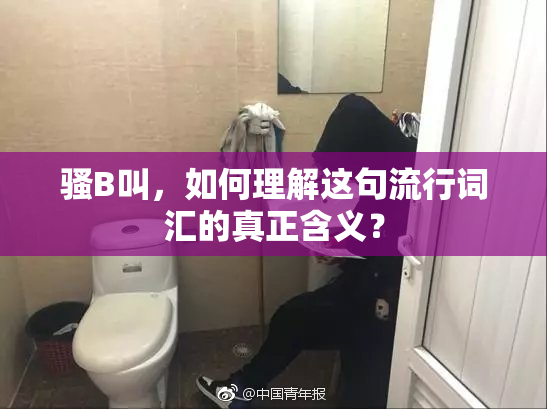 骚B叫，如何理解这句流行词汇的真正含义？