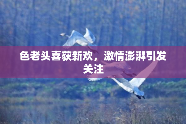 色老头喜获新欢，激情澎湃引发关注