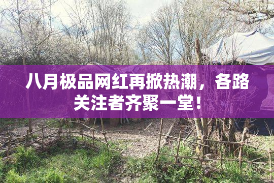 八月极品网红再掀热潮，各路关注者齐聚一堂！