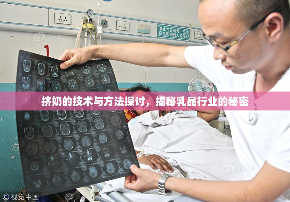 挤奶的技术与方法探讨，揭秘乳品行业的秘密