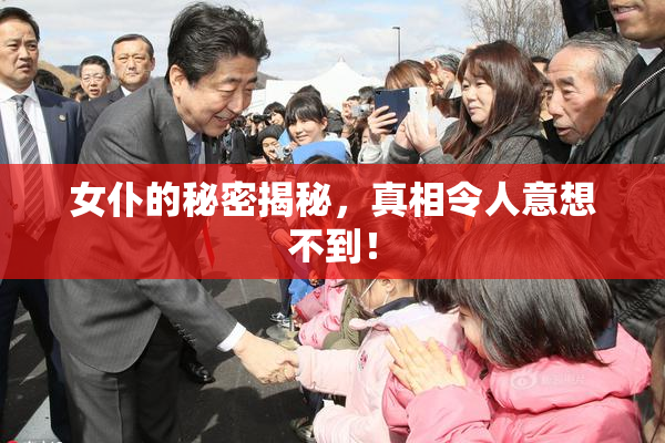 女仆的秘密揭秘，真相令人意想不到！