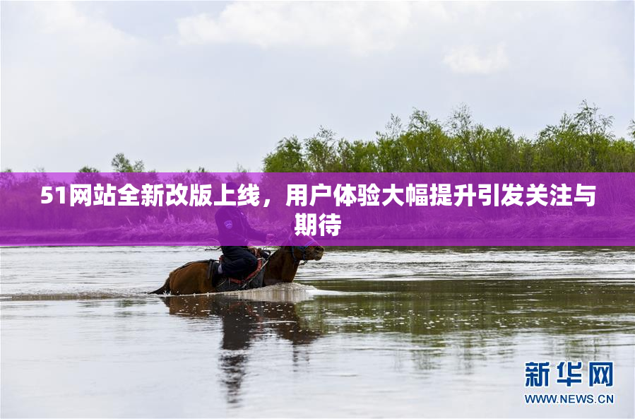 51网站全新改版上线，用户体验大幅提升引发关注与期待