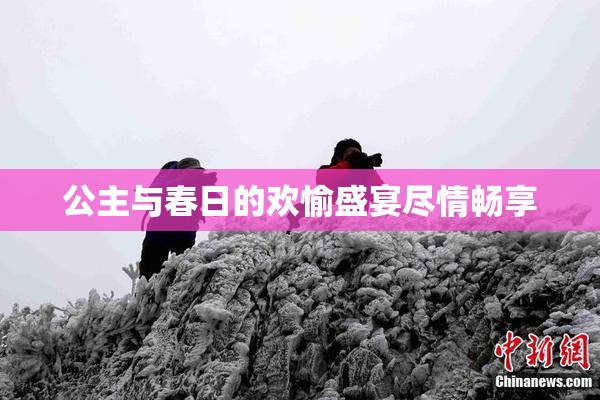 公主与春日的欢愉盛宴尽情畅享