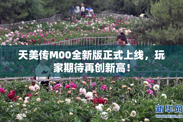 天美传M00全新版正式上线，玩家期待再创新高！