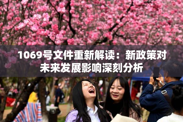 1069号文件重新解读：新政策对未来发展影响深刻分析