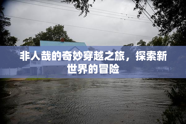 非人哉的奇妙穿越之旅，探索新世界的冒险