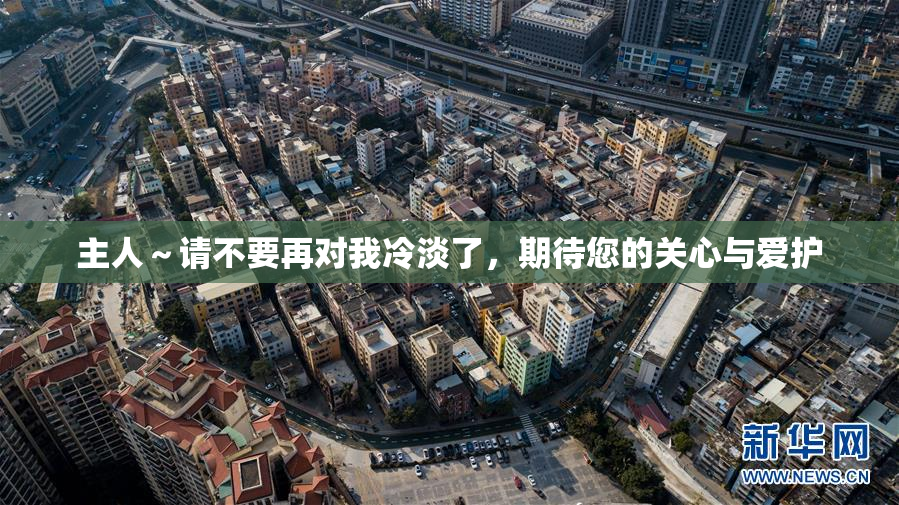 主人～请不要再对我冷淡了，期待您的关心与爱护