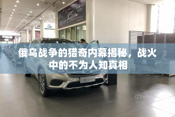 俄乌战争的猎奇内幕揭秘，战火中的不为人知真相