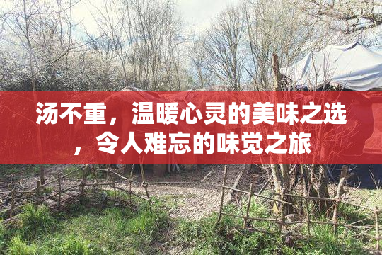 汤不重，温暖心灵的美味之选，令人难忘的味觉之旅