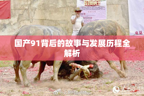 国产91背后的故事与发展历程全解析