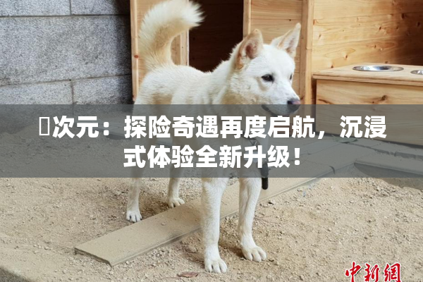 囧次元：探险奇遇再度启航，沉浸式体验全新升级！