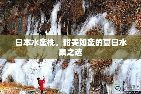 日本水蜜桃，甜美如蜜的夏日水果之选