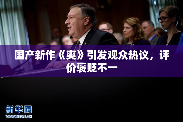国产新作《爽》引发观众热议，评价褒贬不一