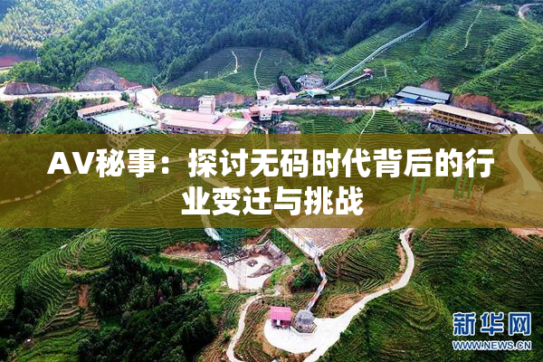 AV秘事：探讨无码时代背后的行业变迁与挑战