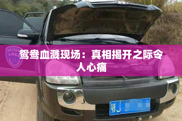 鸳鸯血溅现场：真相揭开之际令人心痛