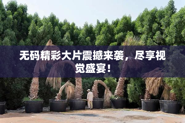 无码精彩大片震撼来袭，尽享视觉盛宴！
