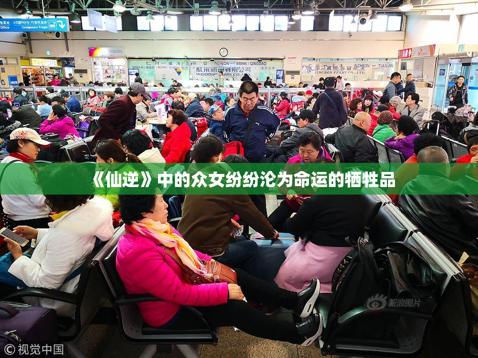 《仙逆》中的众女纷纷沦为命运的牺牲品