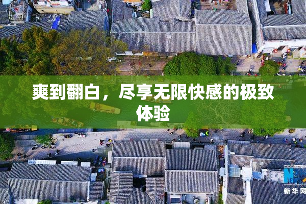 爽到翻白，尽享无限快感的极致体验